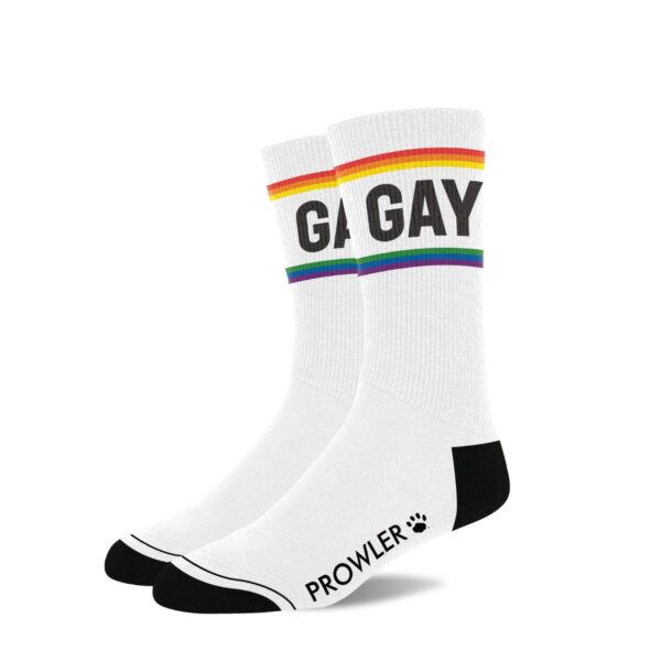 mockup_pr-sock-gay