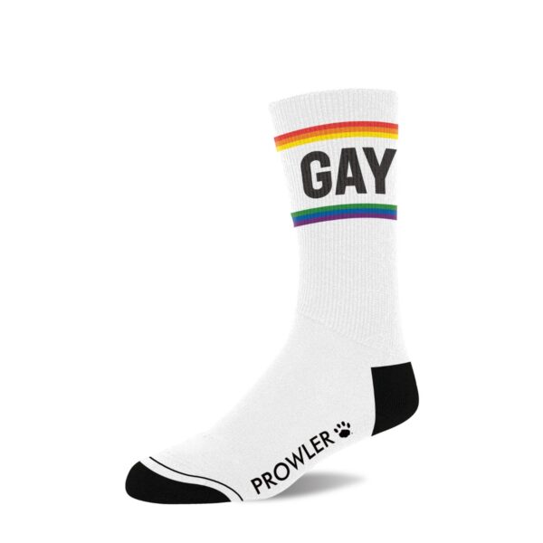 mockup_pr-sock-gay_single